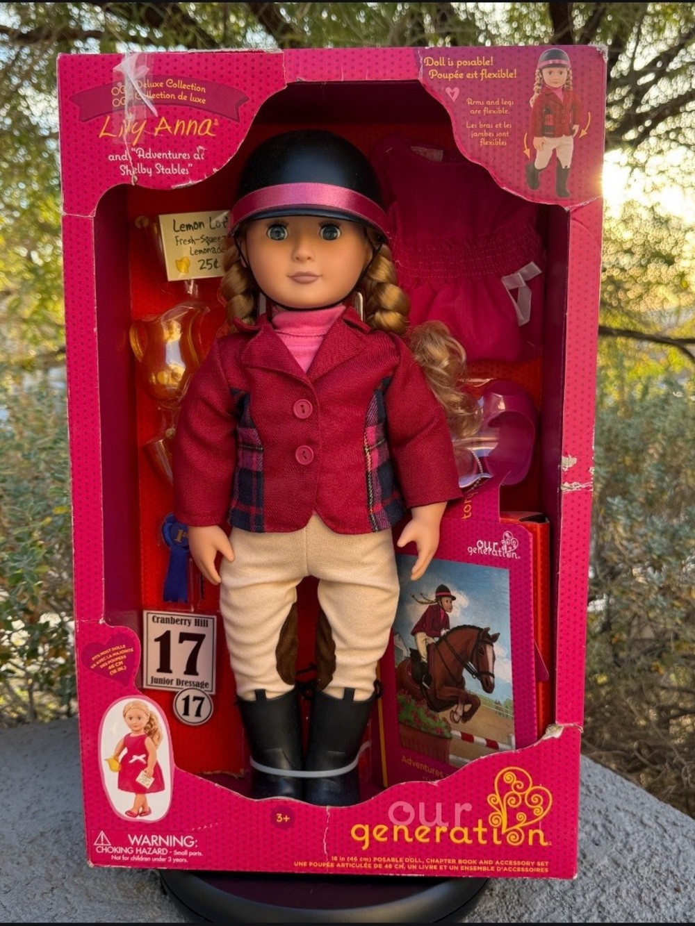 Our Generation Lily Anna 18" Deluxe Doll NIB Equestrian Cottagecore Coquette